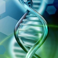 Terapia EstGen - inżynieria tkankowa